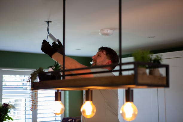 Best Electric Panel Repair  in Muscoda, WI