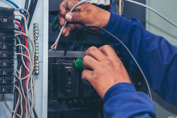 Best Local Electrician Companies  in Muscoda, WI